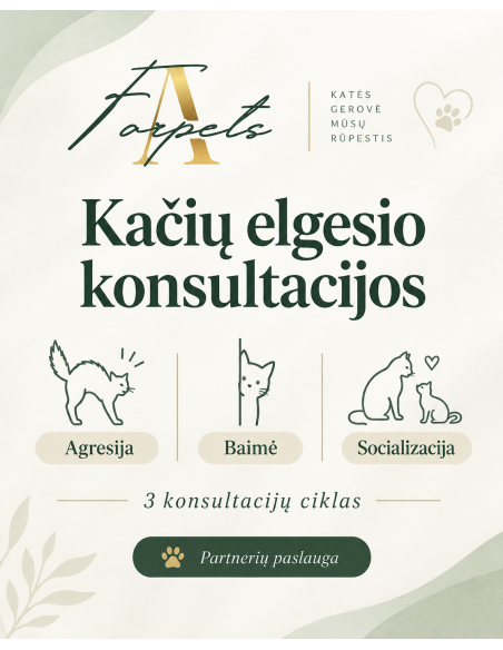Kačių elgesio konsultacijos: Agresija, baimė ir socializacija (3 kons. ciklas)