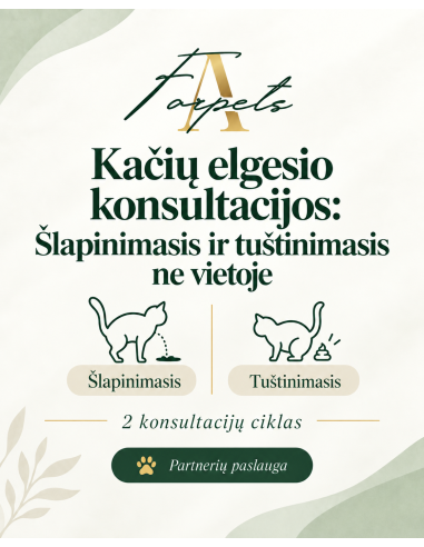 Kačių elgesio konsultacijos: Šlapinimasis ir tuštinimasis ne vietoje (2 kons. ciklas)