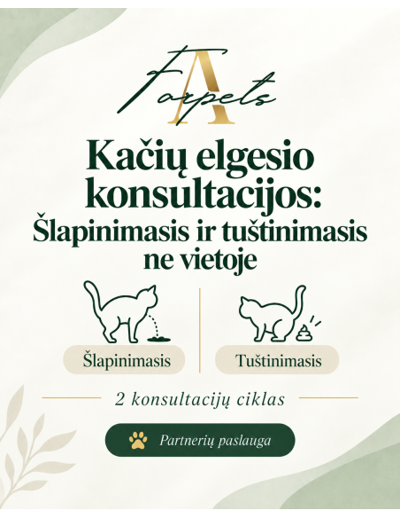 Kačių elgesio konsultacijos: Šlapinimasis ir tuštinimasis ne vietoje (2 kons. ciklas)
