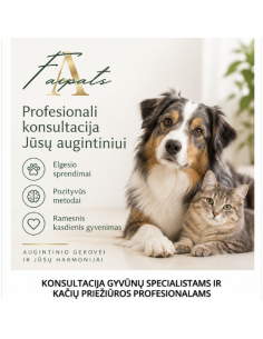 Konsultacija gyvūnų specialistams ir kačių priežiūros profesionalams