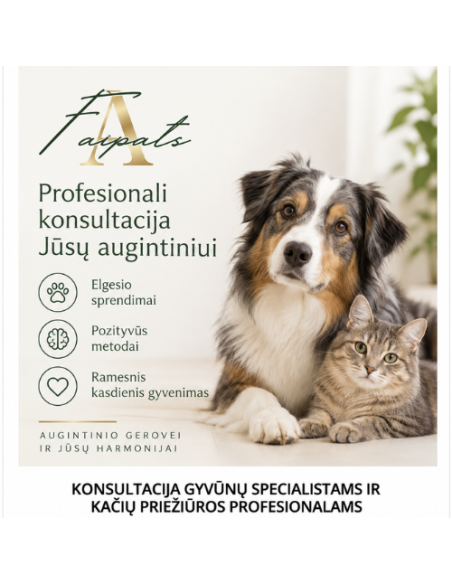 Konsultacija gyvūnų specialistams ir kačių priežiūros profesionalams