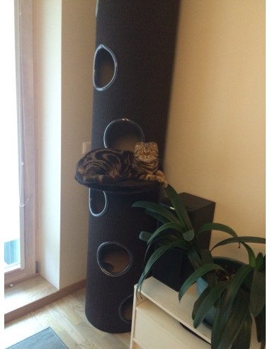 Daugiaaukštis iki lubų