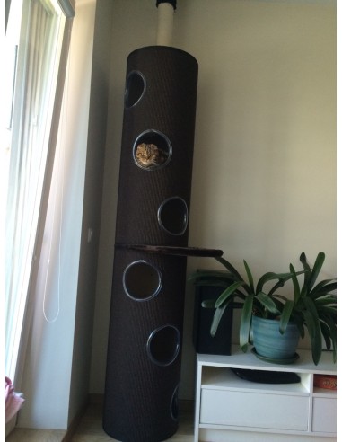 Daugiaaukštis iki lubų