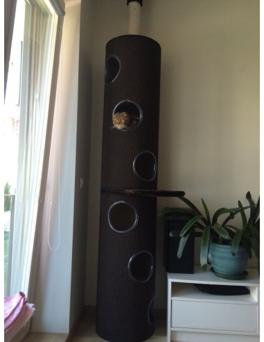 Daugiaaukštis iki lubų