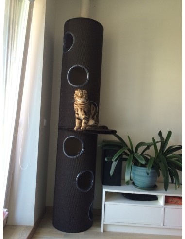 Daugiaaukštis iki lubų