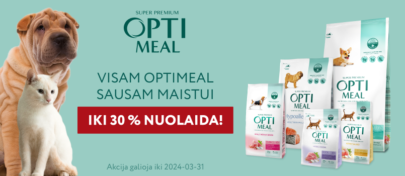 I&scaron;leidžiate savo katę į lauką?