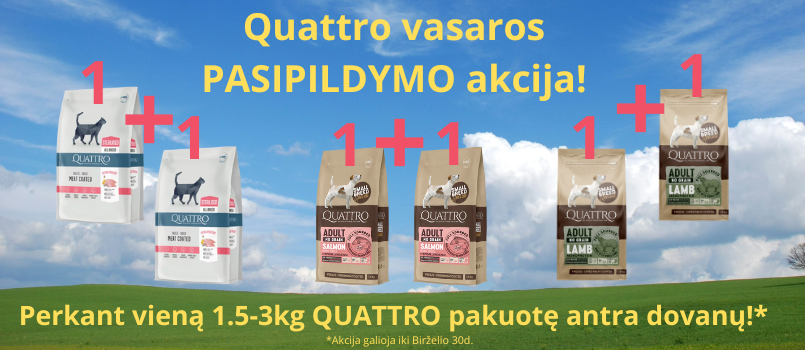 Ieskai gerų paiūlymų?