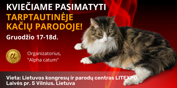 Kviečiame į tarptautinę kačių parodą šį savaitgalį Vilniuje!